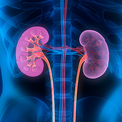 Park Slope Urology | Men s Health, Lithotripsy and Vasectomy